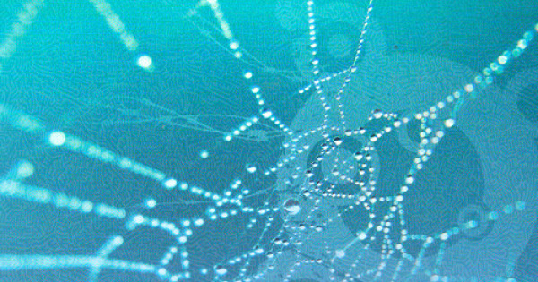 Onam pornosini onlayn tomosha qiling